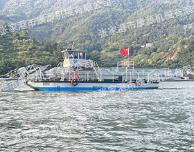 全自動(dòng)電站閘前清漂船