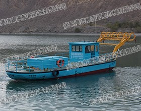 庫(kù)區(qū)電站抓漂船