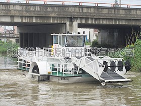 江蘇  全自動(dòng)割草保潔船