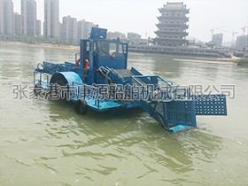 湖南  微型割草船
